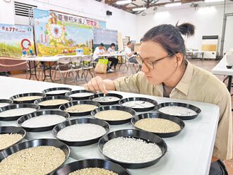 南投 蟬聯冠軍 稻米達人李啟元 再拚全國金牌