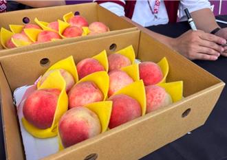 拉拉山水蜜桃爆消费纠纷！店家遭控偷换苹果 农业局组队稽查