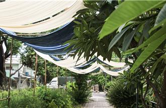 高雄超美打卡点「蓝脉流光」展 8／9凤山中华街商圈登场