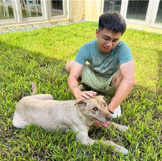 網傳新竹市犬棕棕送養失敗？動保所證實正執行認養程序