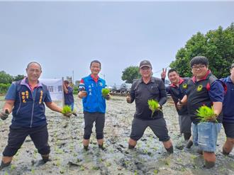 苗栗青農聯誼會10周年 稻田彩繪LOGO亮相展創新農業力