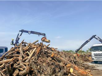 風災重創嘉縣釀逾萬噸廢木 14處暫置場下周招標去化