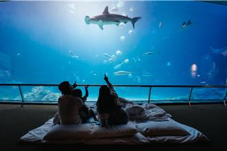屏東海生館夏日海洋季開跑！集章換滄龍、分享回憶抽夜宿體驗