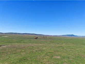 生态好、钱包鼓  阿勒泰「草原碳匯」为绿色低碳城市创收