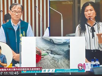 避屢淪水鄉 台南道路擬增水孔