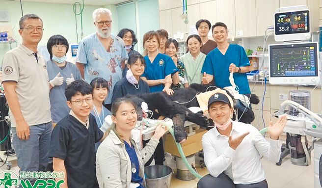 武陵黑熊進行約6小時的牙科治療，暫時只能吃特製「熊熊泥」。（生多所提供／楊靜茹南投傳真）