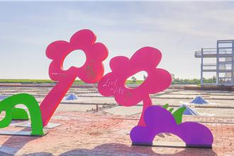 雲嘉南一見雙雕藝術季盛大回歸 田馥甄「田調小花」裝置成亮點