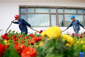 新疆昭蘇大山深處掌燈人 曾改良「鄉村防牲畜破壞電表箱」獲專利