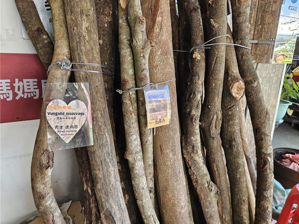 扛情柴通常在收穫季之前舉行,早年是偷偷將情柴放在女子家門口,收穫祭圍舞時再以歌謠向心儀女子示愛,但現在已直接在情柴上掛上名字。越多人送情柴,女子家越有面子。(羅琦文攝)