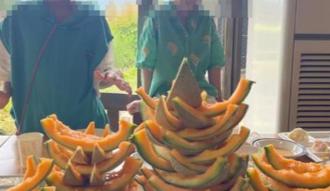 遊北海道「哈密瓜吃到飽」1行徑惹議！插畫家彎彎道歉