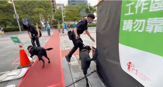 雲門舞集台中公演 2警犬駐守維安 超萌身影曝光