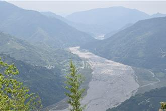 撿漂流木免等了！農業部放寬規定 撿拾條件大解禁