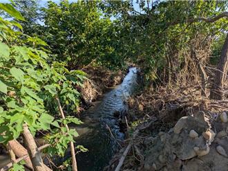 豪雨必淹！嘉县新港乡后庄中排成水患元凶 议员批权责不清