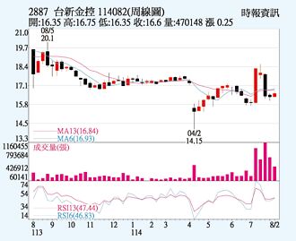 台新金 股價向上可期