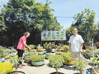 新故鄉願景》里長張和妹 讓垃圾堆變香草園