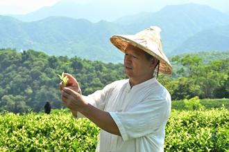 中台世界博物館館慶免費入館6日 茶文化體驗、蔬食市集8／23登場