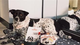 太魯閣晶英攜手兩大愛寵品牌 迎接毛孩子入住