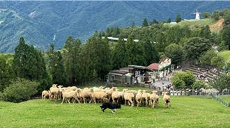 楊柳颱風恐成中颱 清境農場12日下午2時預防性休園