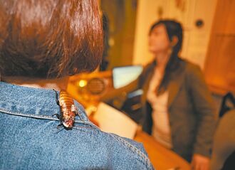 德國機器蟑螂現身