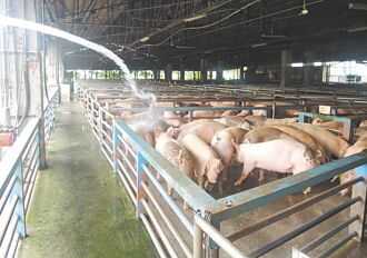 調嘸貨 宜蘭豬肉攤被迫周休4日