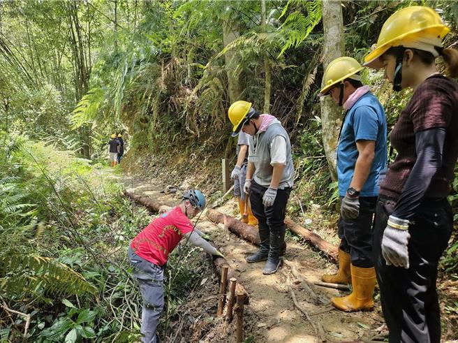 日本龙谷大学来台交流，在台湾千里步道协会专家指导下，利用风倒木修筑涩水森林步道。（林保署南投分署提供／杨静茹南投传真）