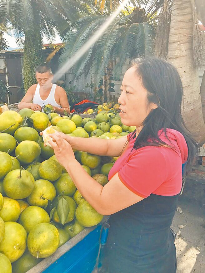 （圖／本報系資料照）