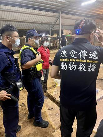 新竹新埔鎮狗園爆虐狗！「10多隻犬屍腐爛」 警到場蒐證