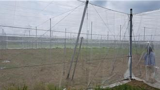 楊柳颱風逼近 高市農業局籲農民加強防颱並注意搶收安全