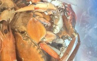 2000元螃蟹代客料理「清蒸變水煮」 苦主傻眼：每隻都在滴水