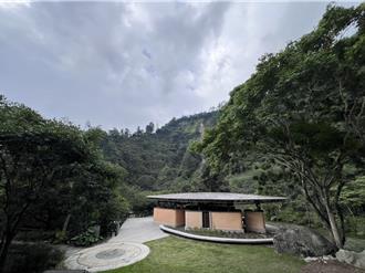 楊柳來襲！大雪山、武陵等森林遊樂區預警性休園