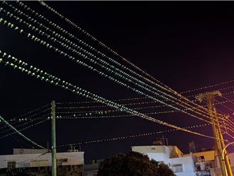 恆春、潮州遭家燕「無差別轟炸」專家：牠們正在幫你吃蚊子