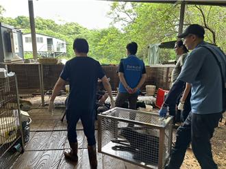 新埔狗園10多隻狗餓死滿地腐屍   動保所：祭最嚴厲處分