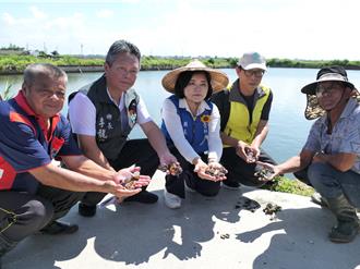 云林文蛤「全军覆没」！豪雨酿灾 张丽善吁中央尽速救助