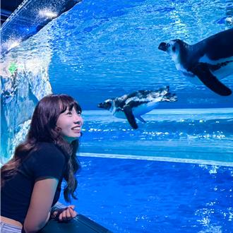 台中海洋館8／21試營運 8大展區今公開