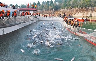 中韓漁業執法合作升級 嚴打非法捕撈 違規漁船直接移交