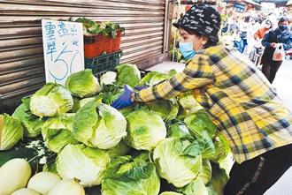 楊柳將至農民提前採收 菜價持續高漲難降