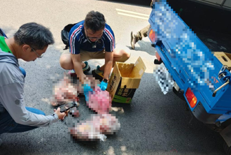 越籍男開貨車竹北公園面交16公斤狗肉 動保所喬裝買家「人贓俱獲」