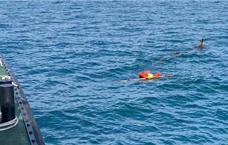 越南船員跳船逃逸！台中港外海獲救　送醫後竟落跑