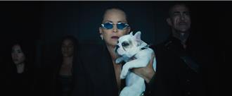 莎朗史東化身超狠黑幫 自曝《無名弒2》大粉絲「上一部看5遍」