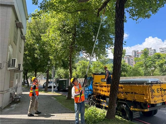 楊柳颱風增為中颱，為防範可能會帶給台北市區瞬間陣風及間歇性降雨，北市工務局公園處啟動防颱機制。（北市公園處提供／張珈瑄台北傳真）