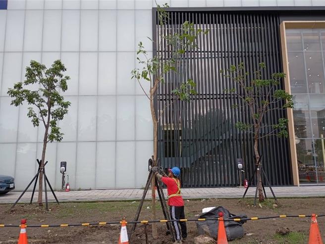公園處指出，考量颱風可能帶來的損害，路樹救災所需的保護架支柱、鏈鋸及救災車輛等機具設備已備妥完善。（北市公園處提供／張珈瑄台北傳真）