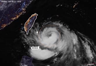 「全盛期楊柳」猛吹14級風 粉專：1地區成地獄倒霉鬼