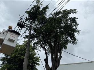 高市府颱風天修樹釀禍！仁武4738戶突停電惹怨
