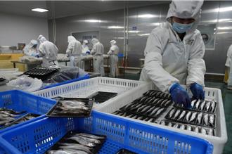 「藍色糧倉」顧飯碗！陸海水產品產量 連年全球第一