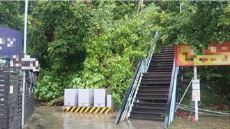 學生夜遊西子灣  驚見階梯旁男屍飄盪半空嚇破膽