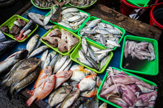 5种鱼汞含量超高少吃为妙 医教日常排毒：多吃含硫食物