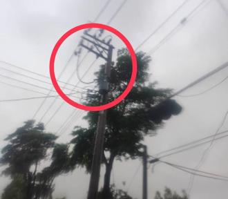 楊柳午後登陸發威！高雄12區逾1.2萬戶大停電