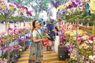 美國關稅衝擊 擴大僱用安定未納農業勞工？勞長回應了