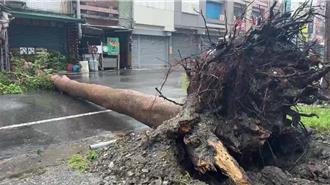 強風肆虐台東慘況曝   商家外牆、醫院門碎裂    路樹倒塌  