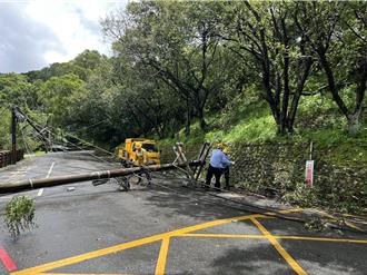 颱风杨柳登陆发威！北市文山区路树倒塌拉断电线